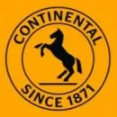 Бренд Continental может выпустить первые всесезонные колеса