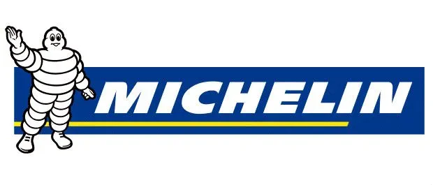 Мишлен зимние шины