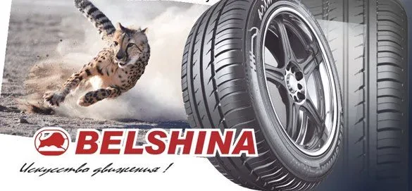 Белшина в Чернигове