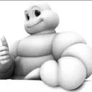 Michelin получает премию за сохранение климата