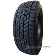 RW501 IceMax