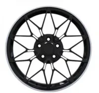 WS-14M