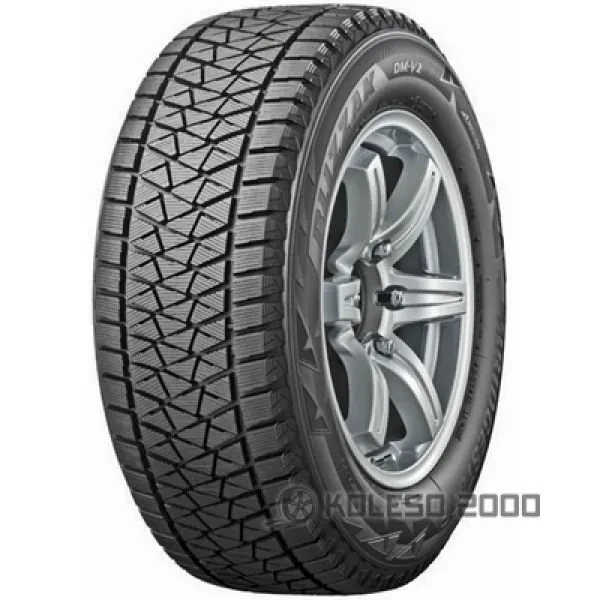 Bridgestone Blizzak DM-V2 255/50 R19 107T