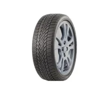 Roadmarch WinterXPro 888 175/65 R15 84T