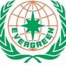 Evergreen выпускает новую линейку шин