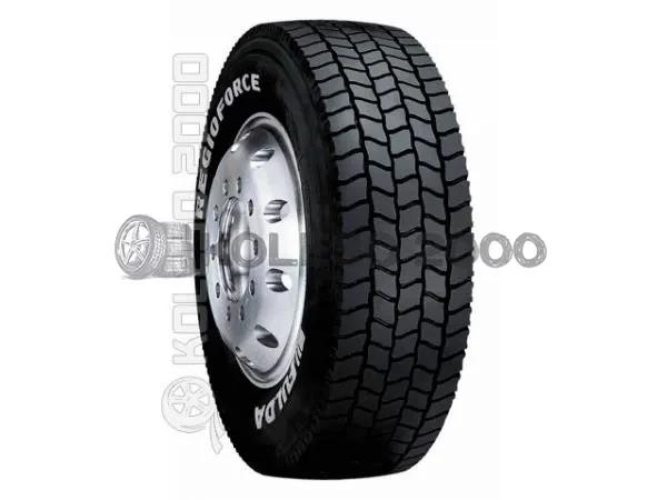 Regioforce (ведущая) Regioforce (ведущая)