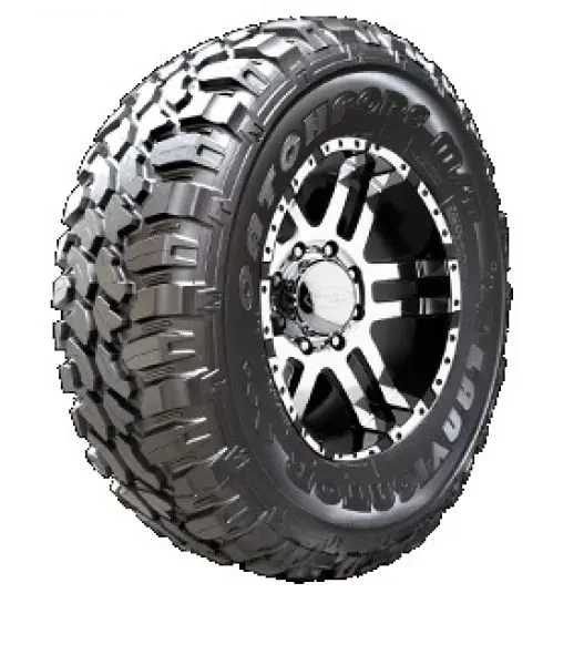 Catchfors M/T