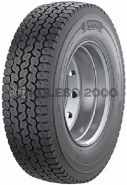 X Multi D (ведущая) X Multi D (ведущая)