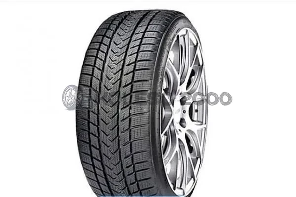 SureGrip Pro Winter SureGrip Pro Winter