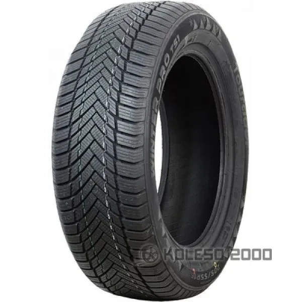 Winter Pro TS1